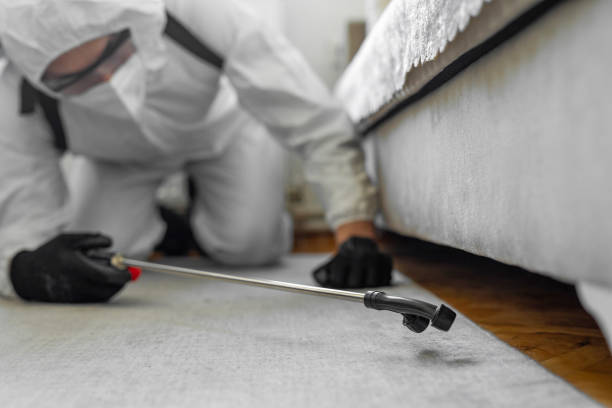 Professional Termite Control technician working in Pawhuska, OK