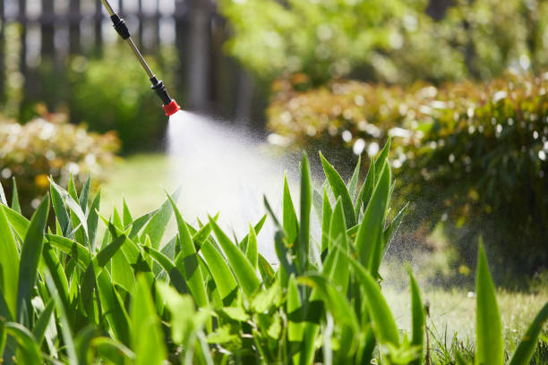 24/7 Emergency Termite Control experts in Pawhuska, OK